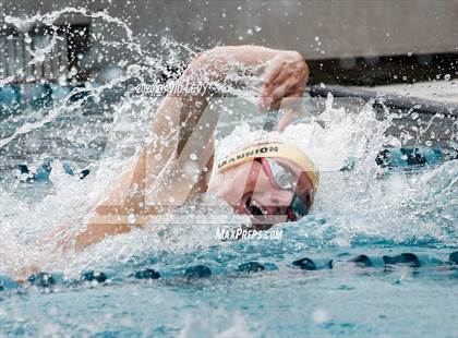 Thumbnail 3 in AIA D1 Swim Finals photogallery.