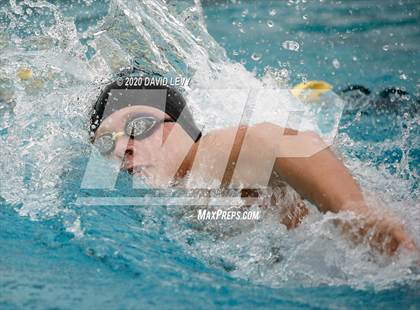 Thumbnail 1 in AIA D1 Swim Finals photogallery.