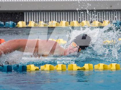 Thumbnail 2 in AIA D1 Swim Finals photogallery.