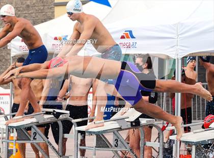 Thumbnail 3 in AIA D1 Swim Finals photogallery.