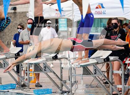 Thumbnail 1 in AIA D1 Swim Finals photogallery.
