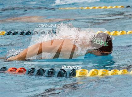 Thumbnail 1 in AIA D1 Swim Finals photogallery.