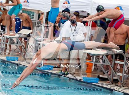 Thumbnail 1 in AIA D1 Swim Finals photogallery.