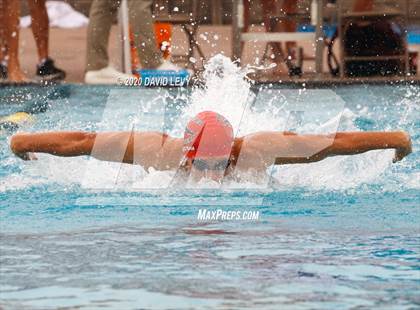 Thumbnail 1 in AIA D1 Swim Finals photogallery.