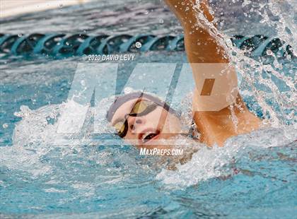 Thumbnail 1 in AIA D1 Swim Finals photogallery.