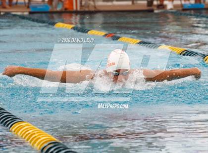 Thumbnail 1 in AIA D1 Swim Finals photogallery.