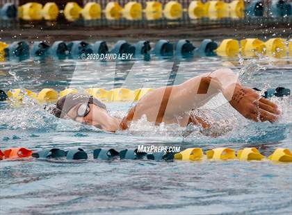 Thumbnail 2 in AIA D1 Swim Finals photogallery.