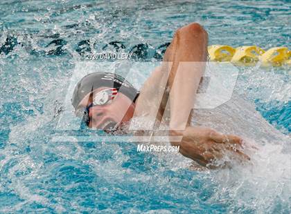 Thumbnail 1 in AIA D1 Swim Finals photogallery.