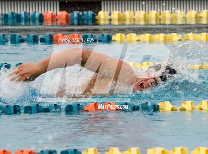 Thumbnail 2 in AIA D1 Swim Finals photogallery.