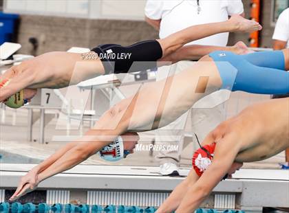 Thumbnail 1 in AIA D1 Swim Finals photogallery.