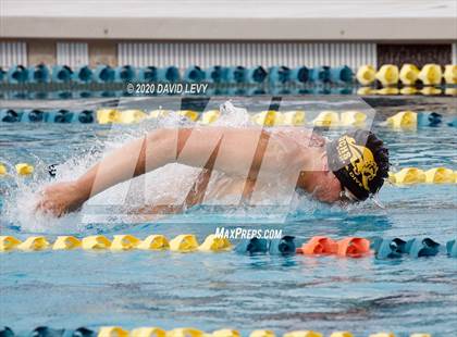 Thumbnail 2 in AIA D1 Swim Finals photogallery.
