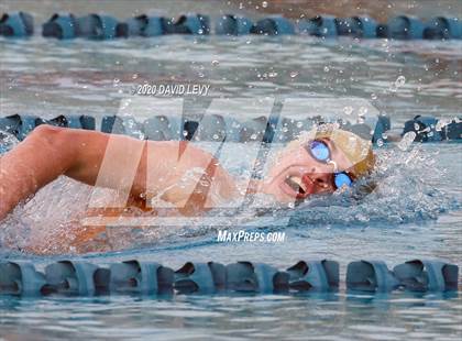 Thumbnail 1 in AIA D1 Swim Finals photogallery.
