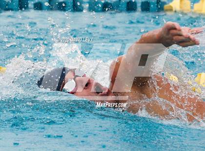Thumbnail 1 in AIA D1 Swim Finals photogallery.