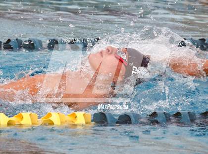 Thumbnail 2 in AIA D1 Swim Finals photogallery.