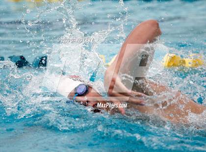 Thumbnail 3 in AIA D1 Swim Finals photogallery.
