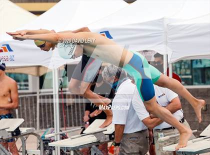 Thumbnail 3 in AIA D1 Swim Finals photogallery.