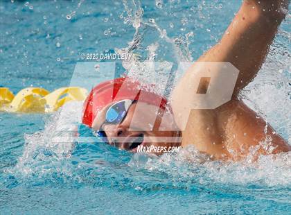 Thumbnail 3 in AIA D1 Swim Finals photogallery.