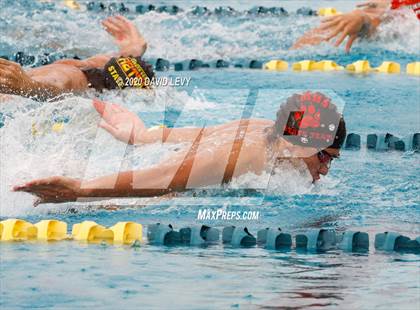 Thumbnail 2 in AIA D1 Swim Finals photogallery.