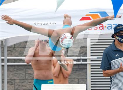 Thumbnail 1 in AIA D1 Swim Finals photogallery.