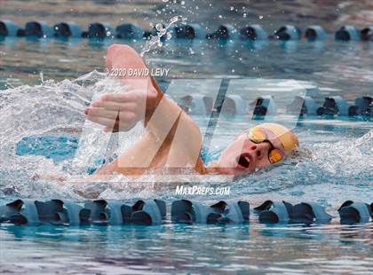 Thumbnail 1 in AIA D1 Swim Finals photogallery.