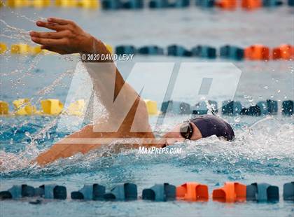 Thumbnail 2 in AIA D1 Swim Finals photogallery.