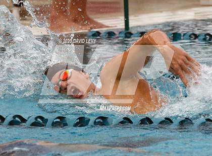Thumbnail 1 in AIA D1 Swim Finals photogallery.