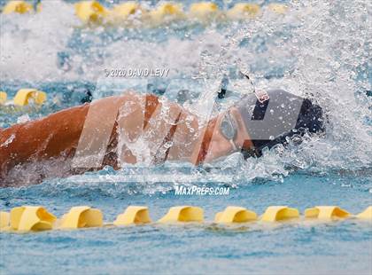 Thumbnail 1 in AIA D1 Swim Finals photogallery.