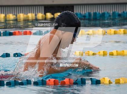 Thumbnail 2 in AIA D1 Swim Finals photogallery.