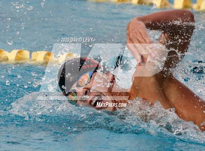 Thumbnail 1 in AIA D1 Swim Finals photogallery.