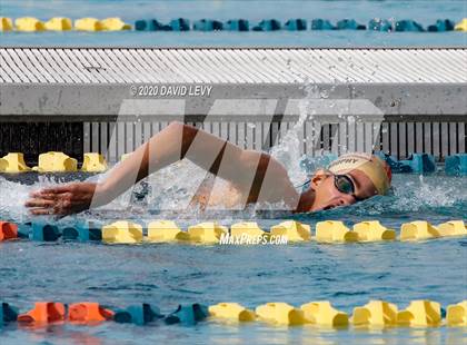 Thumbnail 1 in AIA D1 Swim Finals photogallery.