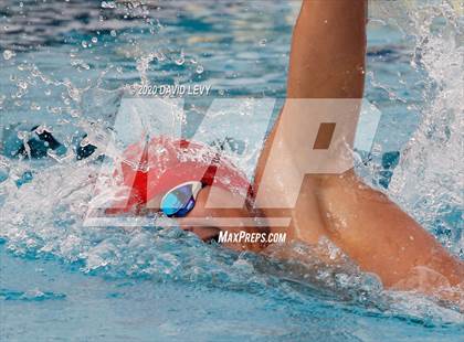 Thumbnail 1 in AIA D1 Swim Finals photogallery.