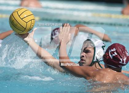 Thumbnail 2 in Poly @ Esperanza photogallery.