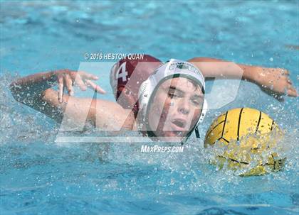Thumbnail 1 in Poly @ Esperanza photogallery.