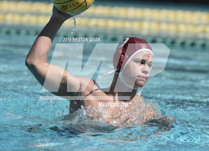 Thumbnail 1 in Poly @ Esperanza photogallery.