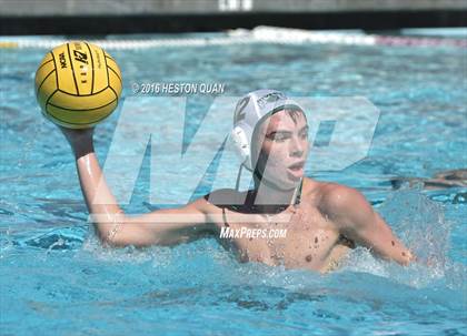 Thumbnail 1 in Poly @ Esperanza photogallery.