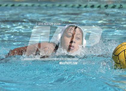 Thumbnail 1 in Poly @ Esperanza photogallery.