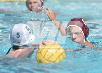 Thumbnail 2 in Poly @ Esperanza photogallery.