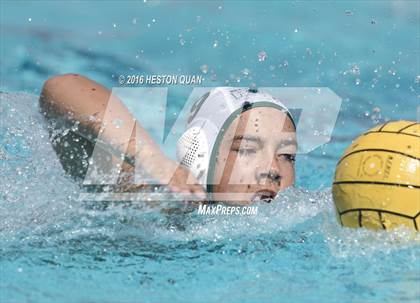 Thumbnail 2 in Poly @ Esperanza photogallery.