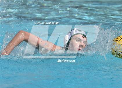 Thumbnail 3 in Poly @ Esperanza photogallery.