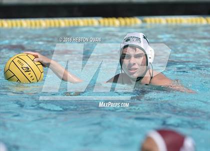 Thumbnail 2 in Poly @ Esperanza photogallery.