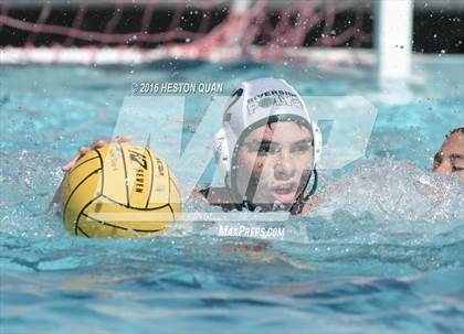 Thumbnail 2 in Poly @ Esperanza photogallery.