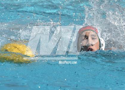 Thumbnail 2 in Poly @ Esperanza photogallery.