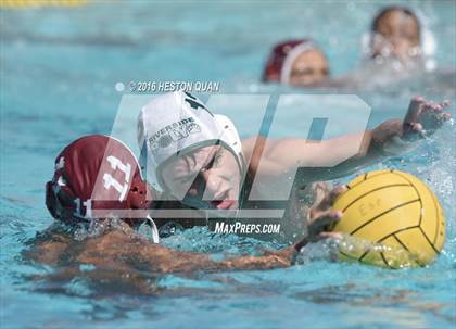 Thumbnail 3 in Poly @ Esperanza photogallery.