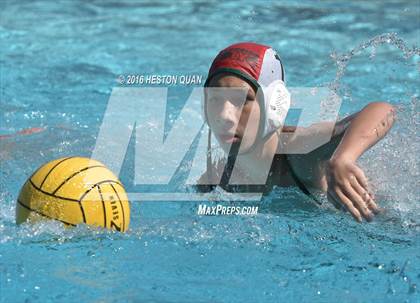 Thumbnail 1 in Poly @ Esperanza photogallery.