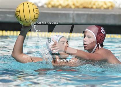 Thumbnail 2 in Poly @ Esperanza photogallery.