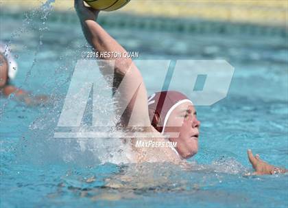 Thumbnail 2 in Poly @ Esperanza photogallery.