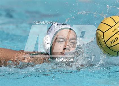 Thumbnail 1 in Poly @ Esperanza photogallery.
