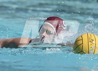 Thumbnail 3 in Poly @ Esperanza photogallery.