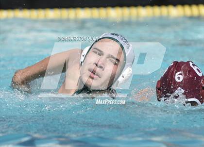 Thumbnail 2 in Poly @ Esperanza photogallery.