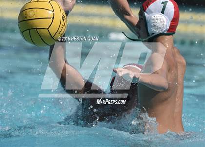 Thumbnail 3 in Poly @ Esperanza photogallery.